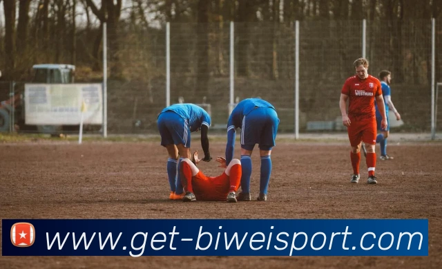 必威体育APP 封面图